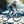 Load image into Gallery viewer, Reiðhjól - Hjól - Single speed - Viktor - Schindelhauer