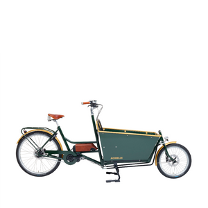 Rafmagnshjól - Reiðhjól - Rafhjól - E-bike - Ferre - Achielle