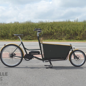 Rafmagnshjól - Reiðhjól - Rafhjól - E-bike - Ferre - Achielle